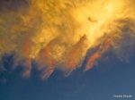 IMG_7309_l.jpg