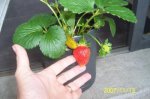 100_0825.JPG