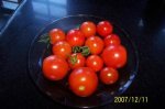 100_1010.JPG