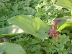 DSCN2639.jpg