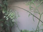 DSC00045.JPG