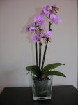DSCN1315.JPG