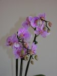 DSCN1317.JPG
