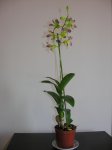 DSCN1322.JPG