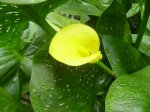 PICT0430.jpg