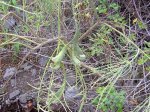 Imagen 084.jpg