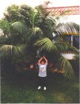 2001 16.jpg