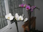 Imagen 004.jpg