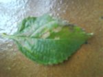 DSC00170.jpg