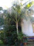 DSCF0374.JPG