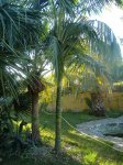 DSCF0377.JPG