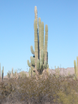 Valle de los gigantes.PNG