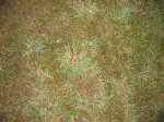 20080109 001 2.jpg