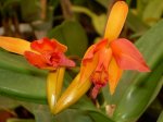 DSCN0410.jpg