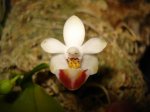 DSC03735.JPG