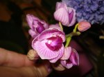 DSC03779.JPG