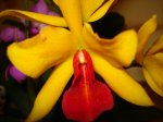 DSC03724.JPG
