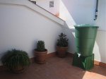IMG_0010.jpg