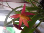 DSC02868.jpg