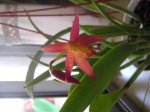 DSC02870.jpg
