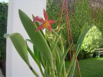 DSC02874.jpg