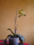 DSC08733.JPG
