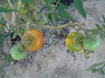 DSC04822.JPG