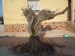 DSC04818.JPG