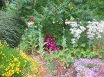 IMG_7850.jpg