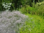 IMG_7908.jpg