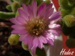 DSC02984.jpg