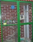 DSCN5389.jpg