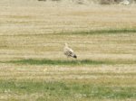 DSCN5381.jpg