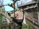 2012-03-18132157.jpg