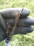 2012-03-18121245.jpg