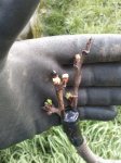 2012-03-18121234.jpg