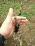 2012-03-18110758-1.jpg