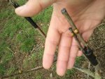 2012-03-18110837.jpg