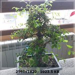 6ee6a7ee1f6d3998ececdd7afbef8460o.jpg