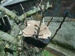 2012-03-18132149.jpg