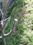 2012-02-19120204.jpg