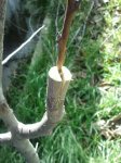2012-02-19120448.jpg