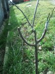 2012-02-19121128.jpg