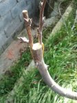 2012-02-19121519.jpg