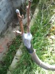 2012-02-19121906.jpg