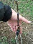 2012-03-18110739-1.jpg