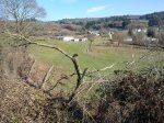 2012-02-21112650.jpg
