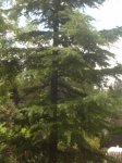 DSC00529.JPG