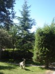 DSC00563.JPG
