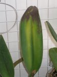 FOTO 2.jpg